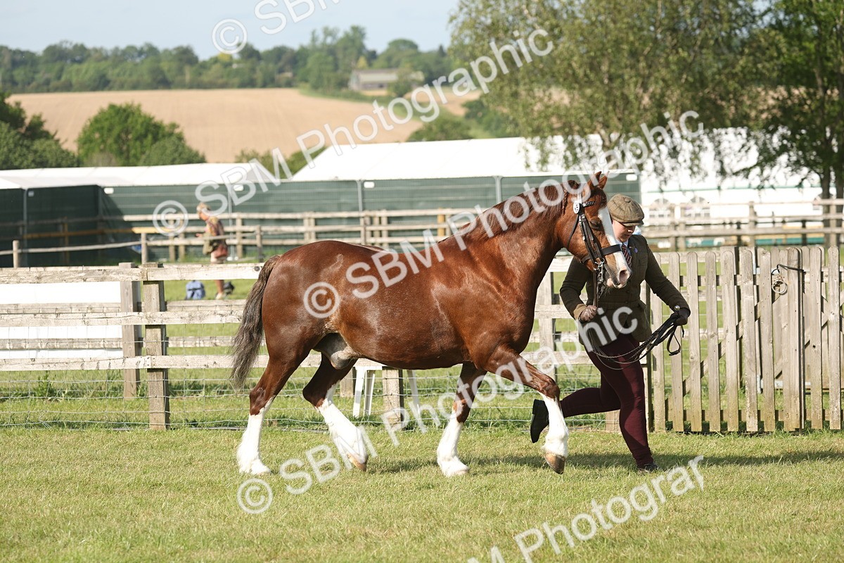SBM_10298 - Class 33-38 - SSADL RIHS Qualifiers