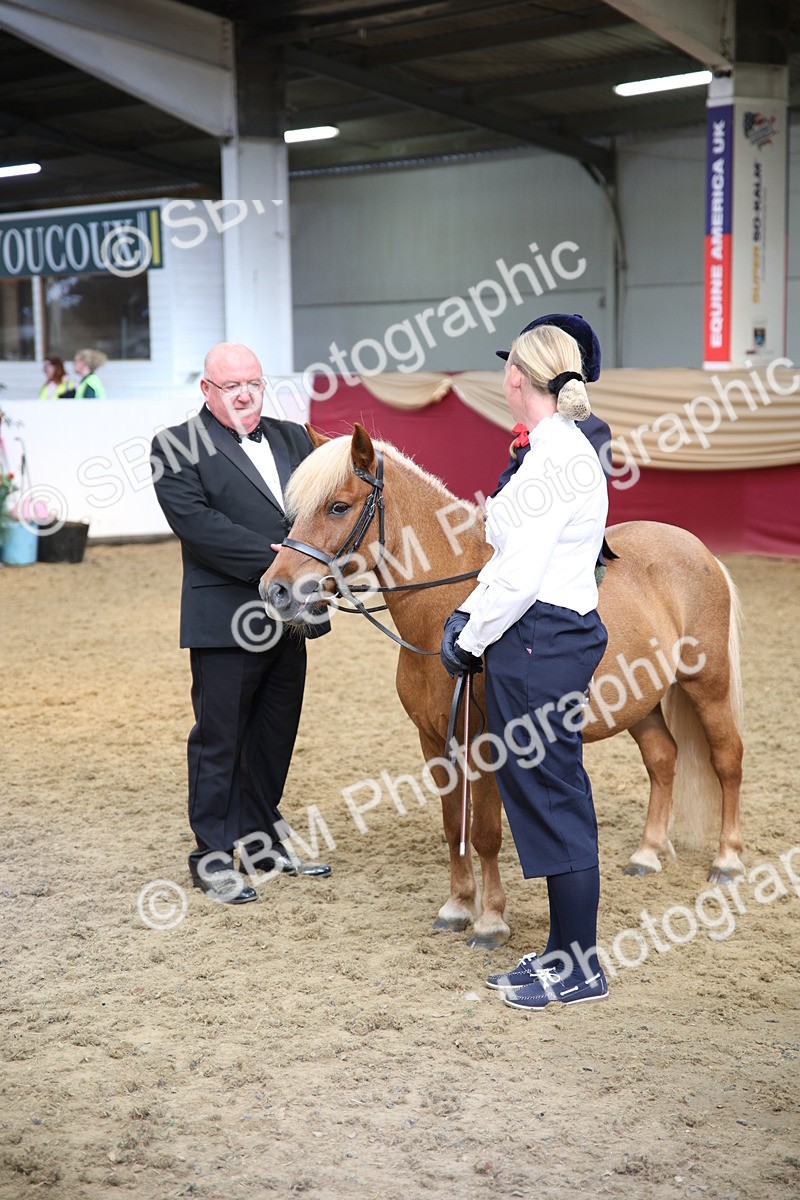 SBM_24754 - Class 906 - Supreme Final - Ridden Pre Vet