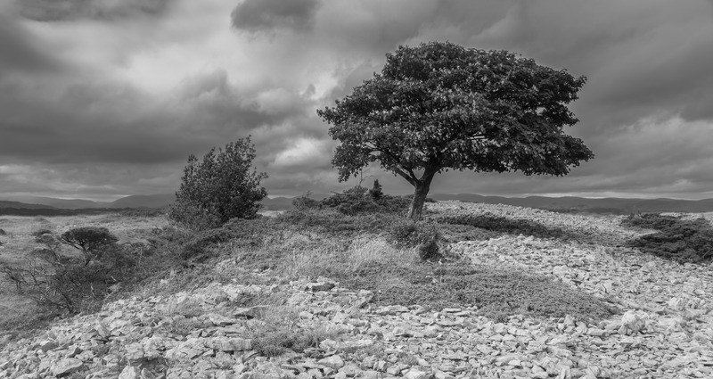  - Distant Hills