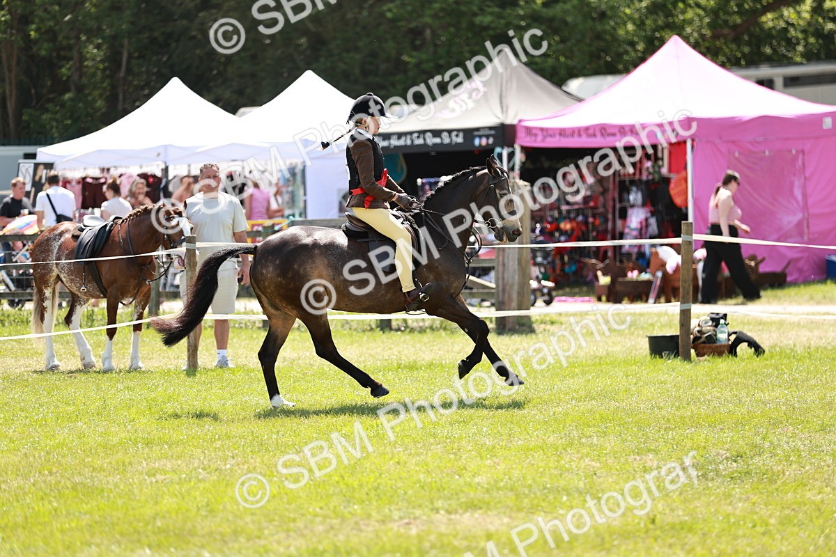 SBM_15784 - Class 108-109 - BSPS LIHS Open Gradle & Nursery Stakes