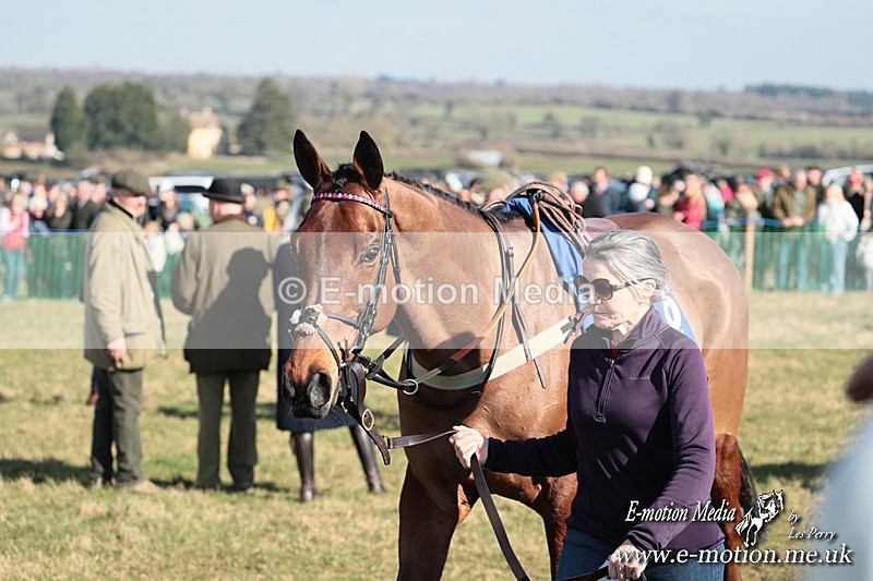 PtP 010325 21 - Beaufort Races Didmarton 01/03/25