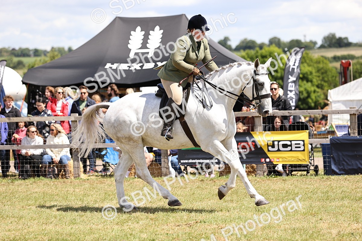 SBM_14762 - Class 88-89 - LIHS BSHA Rising Star of Ridden Hunter Type