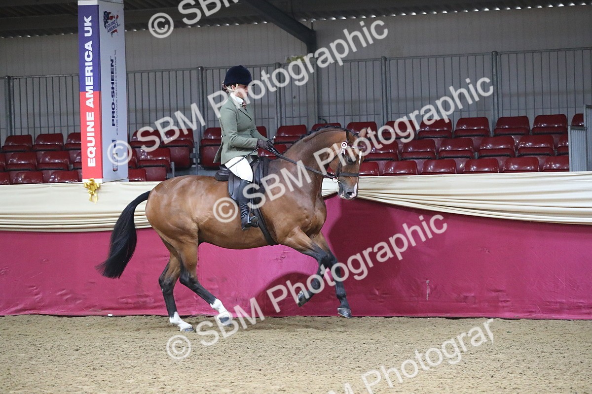 SBM_10368 - Class 102 Equitation (best rider) Adult