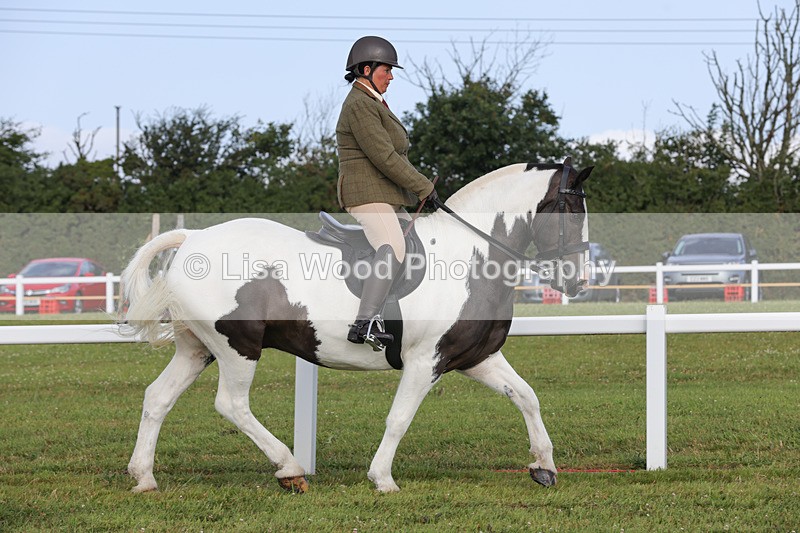 1X9A3192 - Class 28: Ridden Native/Trad Coloured Pony