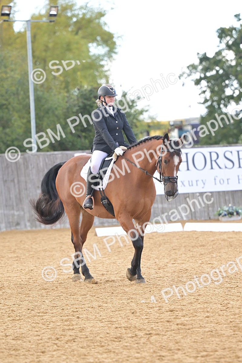 SBM_11263 - D3 - Small Tour Championship Intro 3