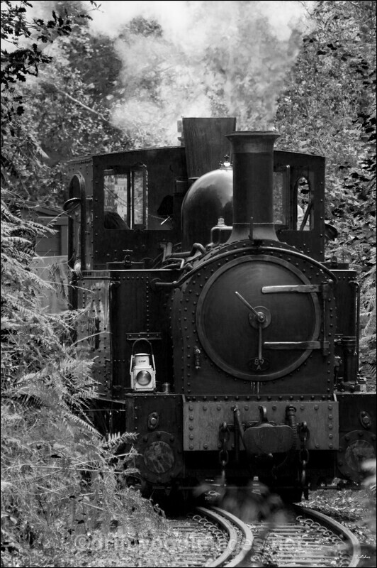 WLLR The Earl - The Welshpool & Llanfair Light Railway