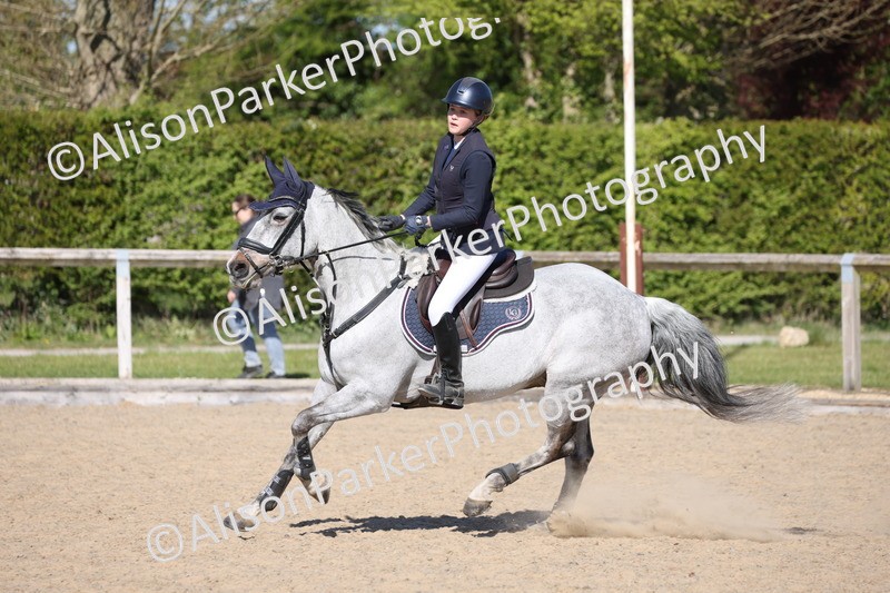20250409-2071 - Class 7 - Pony Foxhunter