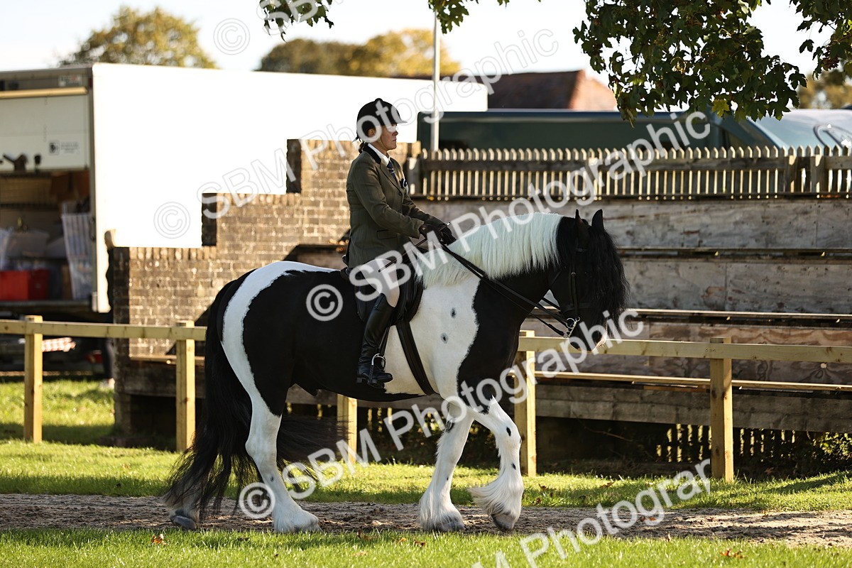 SBM_16994 - S2 - TSR Ridden Pony Showing