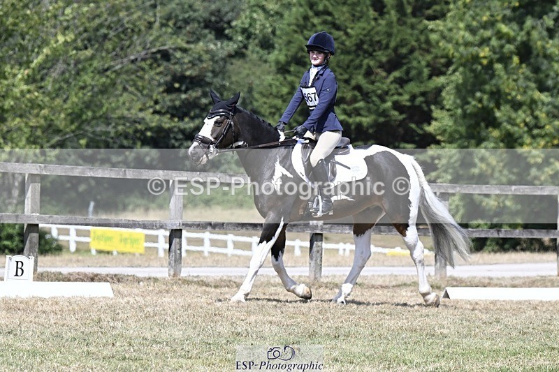 250822A-122014-22709 - DR 11.00 to 12.00