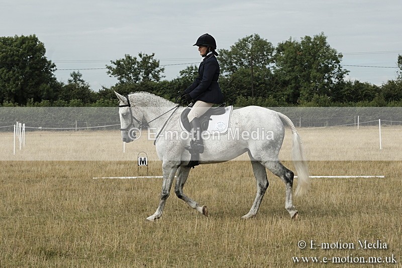_PJP5648 - Dressage Classes BVRC Show 2018