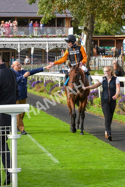 230923-Race 4-Aphelios-6532 - Race 4 3.45pm Jigsaw Sports Branding Handicap