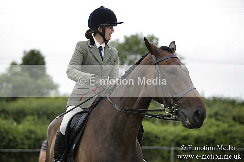 BVR160717-1051 - Ring 1 BVRC Show 16/07/17