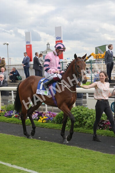 yr11062022r8-11 - Race 8 5.25pm Clean up with PPS Stakes