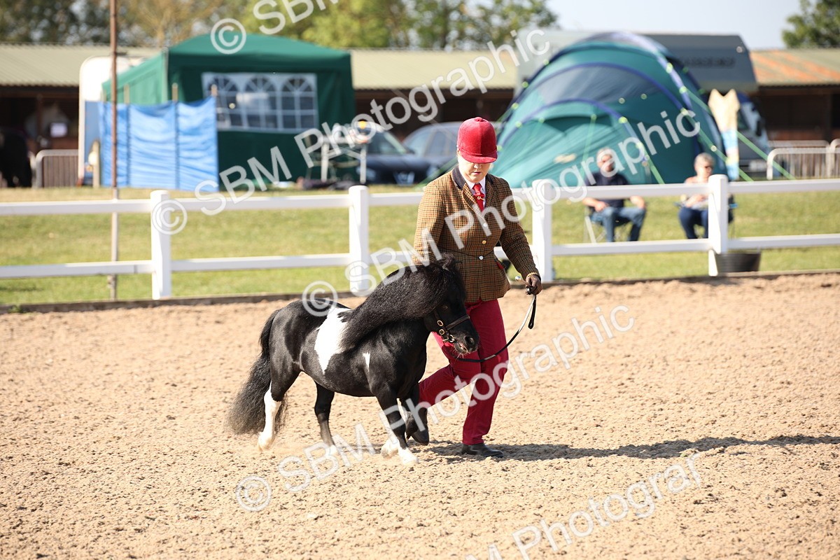 SBM_01474 - Class 15 IH Coloured