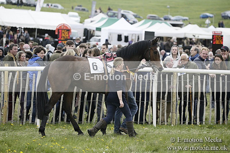 PtP 170417 484 - Old Berks Point-to-Point Lockinge 17/04/17