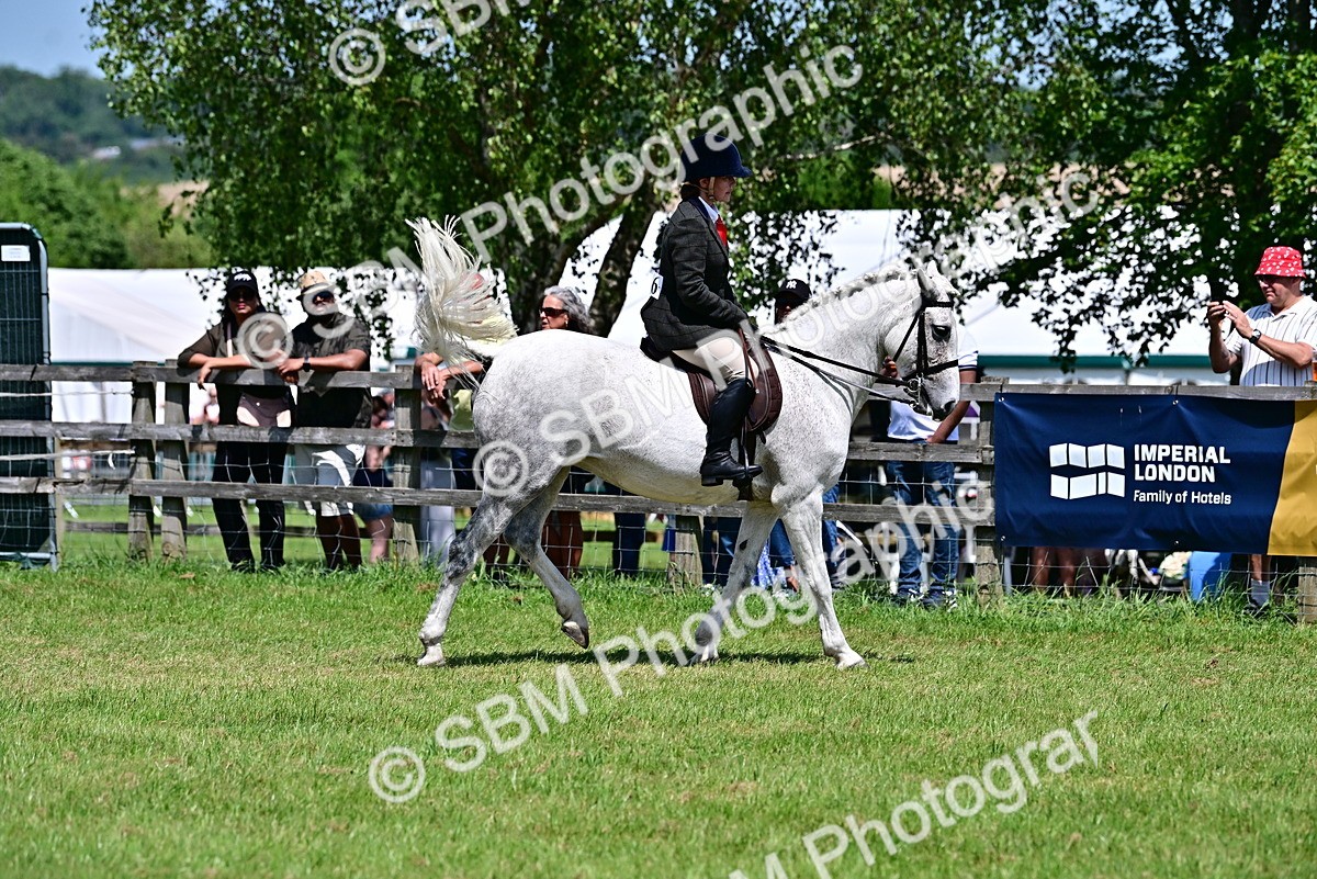 SBM_17396 - Class 95-97 - BSPS LHS Performance Ponies