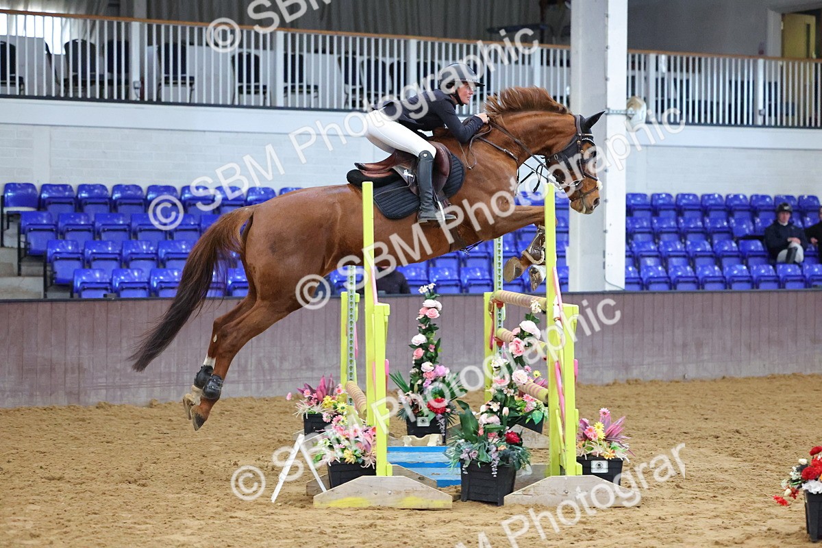 SBM_003554 - Class 17 - Blue Chip Calming Performance Championship Qualifier