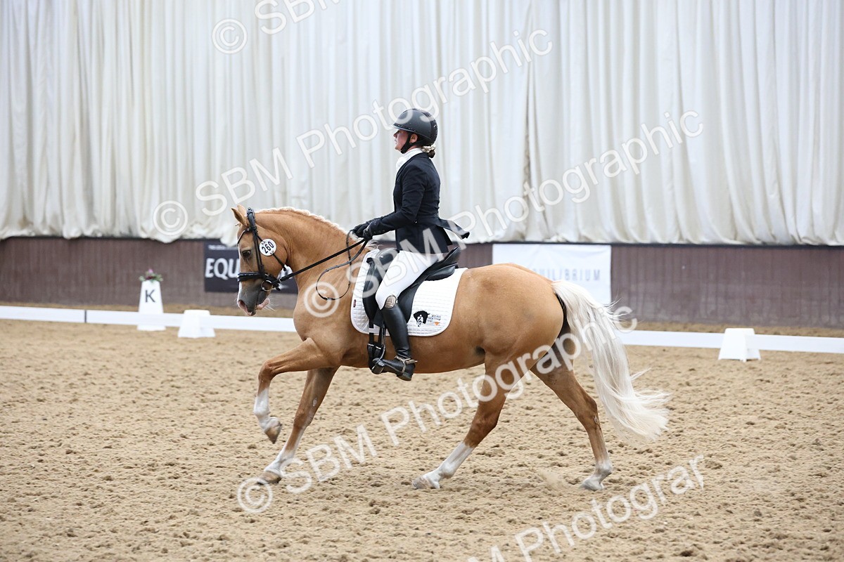 SBM_007544 - Class 23 - Medium FSM Bronze