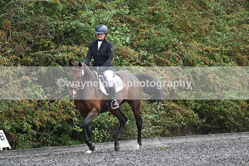 WJ7_3788 - Time 11:04 to 11:38