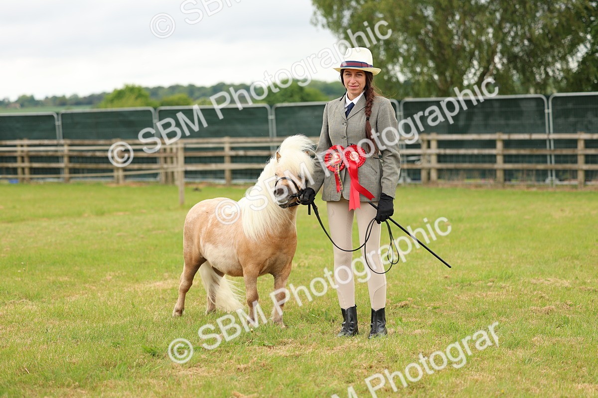 SBM_03534 - Class 58-67 - M&M Non Welsh Pony In hand