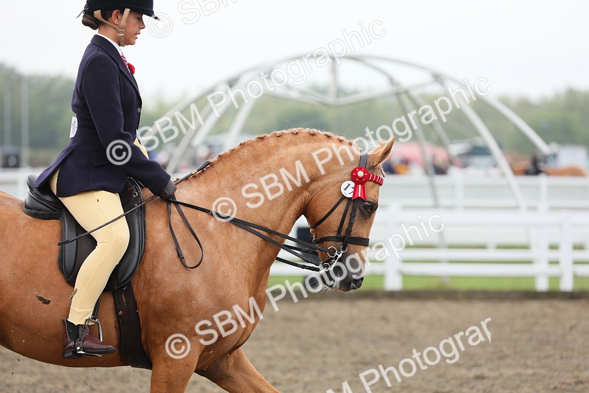 SBM_22332 - Class 807 - Young Rider 11 to 16 Yrs