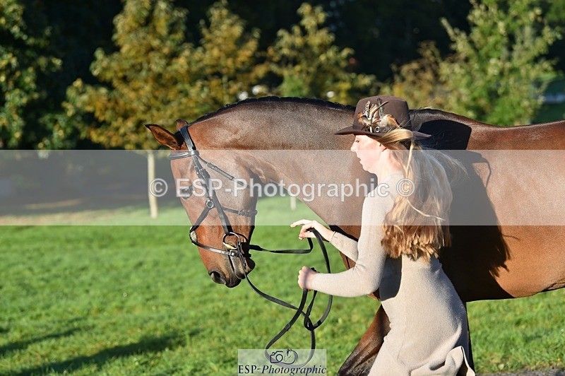 231022-092414-21763 - 617-MR.MISCHIEVOUS-Megan.Brown-TrotUp+SJ