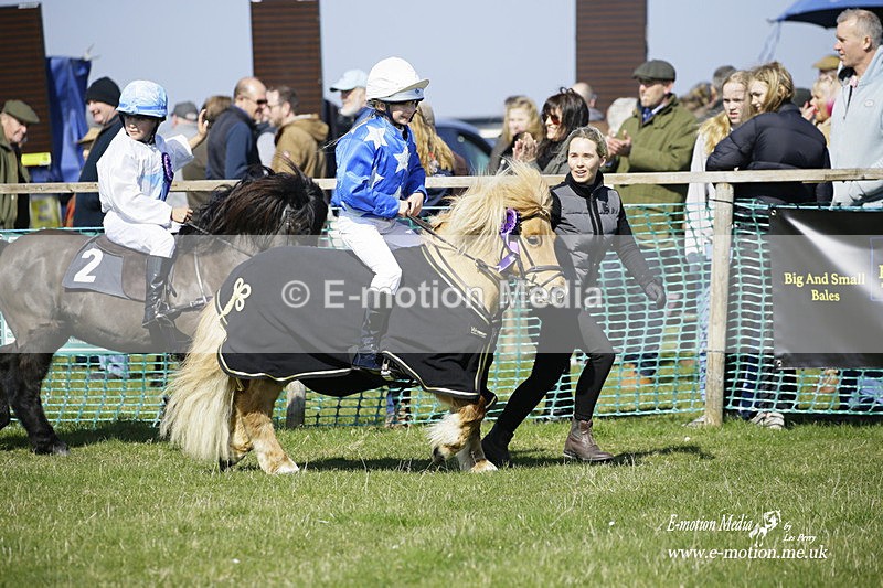 PtP 190322 114 - Wilton Hunt PtP Milborne St Andrew 19/03/22