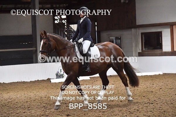 BPP_8585 - NOVICE 4 BD