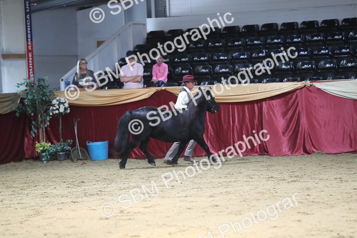 SBM_06266 - Class 9R Regional- IH Pre Vet