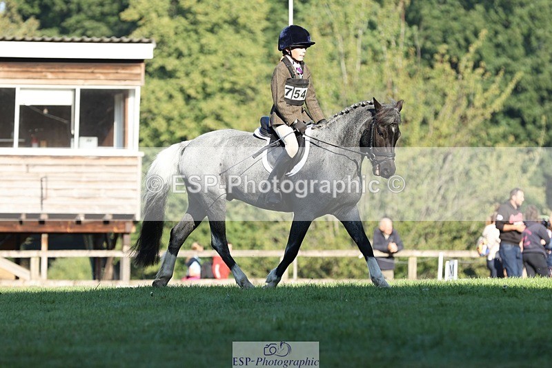 250823A-085054-25785 - Arena D