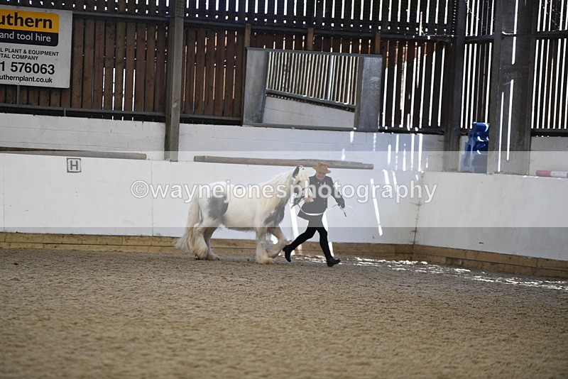 WJ5_5274 - Class 8 In hand cob