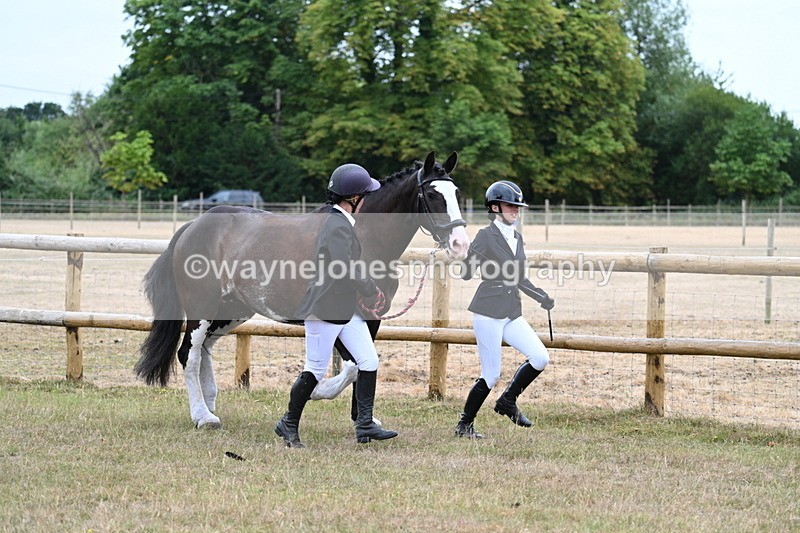 WJ7_8927 - Class 4a Prettiest Mare 14.2hh and over