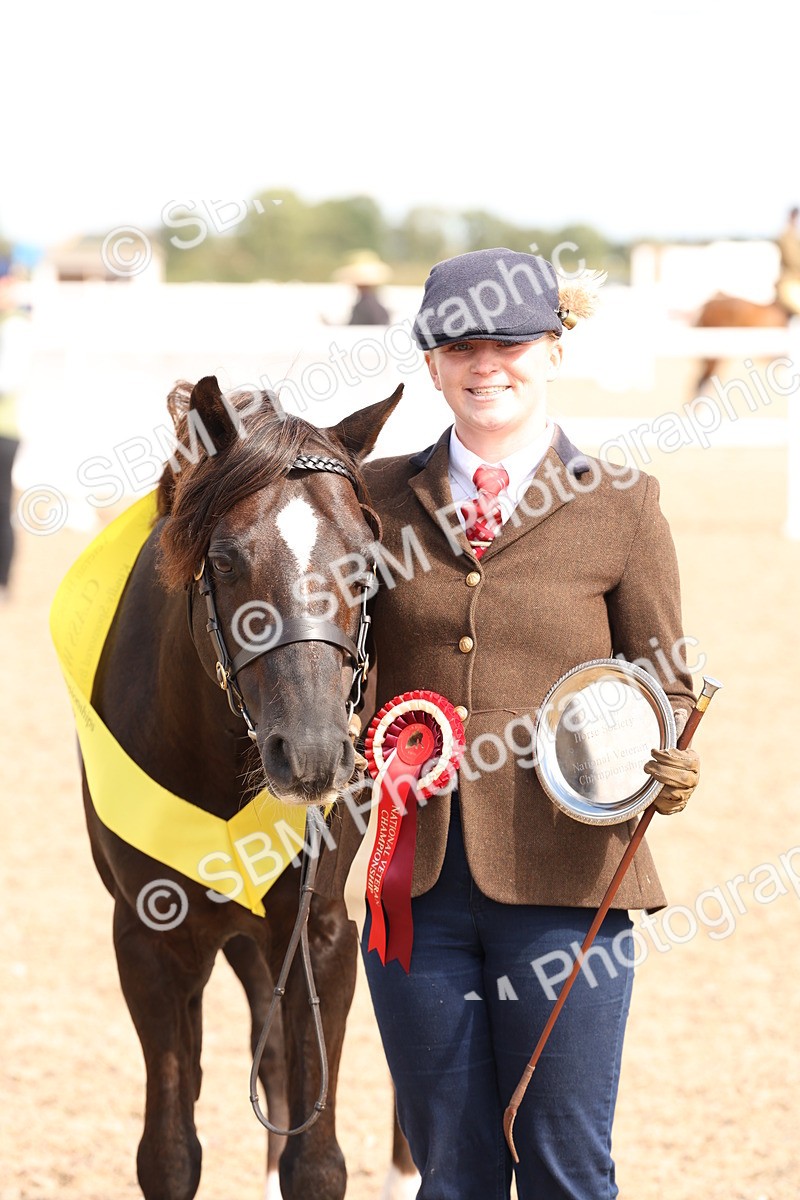 SBM_13991 - Class 205 - IH Show Pony - Show Hunter Pony