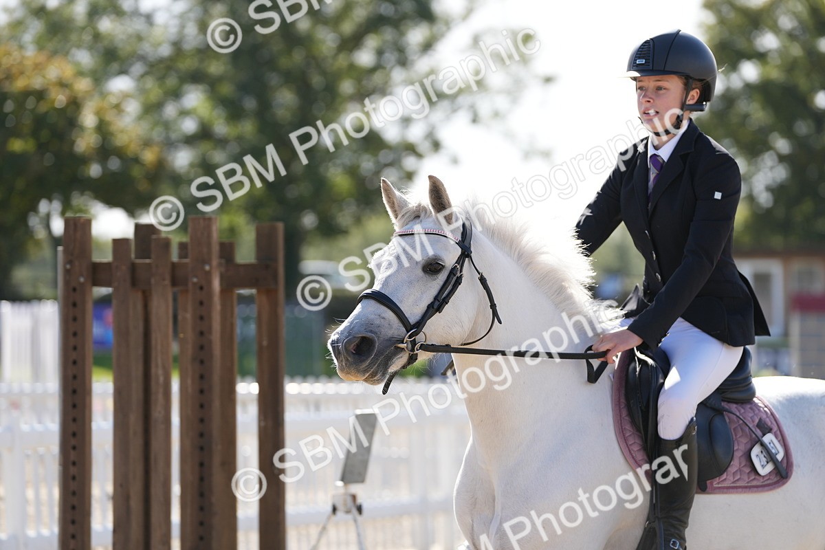 SBM_38383 - J6 - Junior Pony 55cm Championship