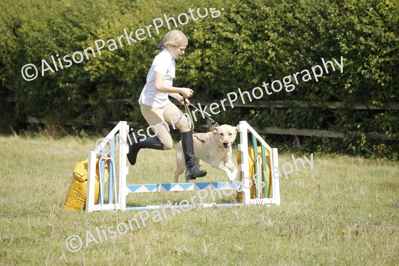 20250831-3846 - Dog Show