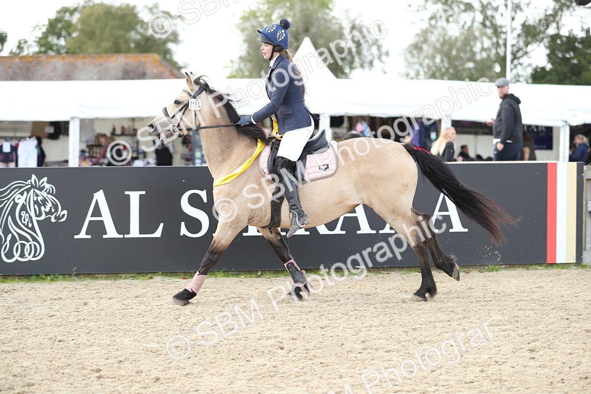SBM_06573 - J29 - Senior Horse & Pony 65cm Championship