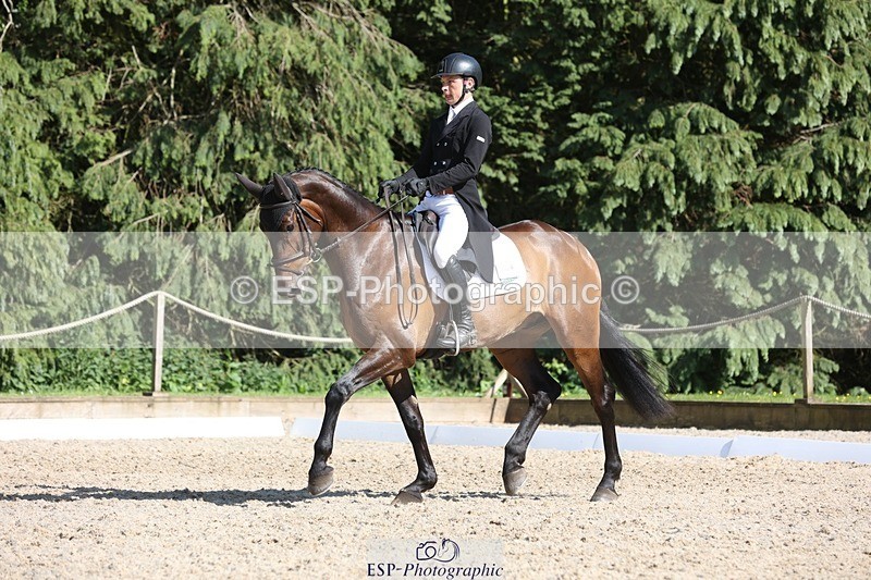 230526-165810-07874 - 174-LANCELOT_BMG-Alfie_Marshall-WEDTrotUp+DR