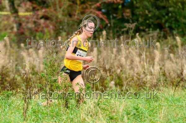 WestRLY25-923914 - Senior/Junior/Masters Women Set One