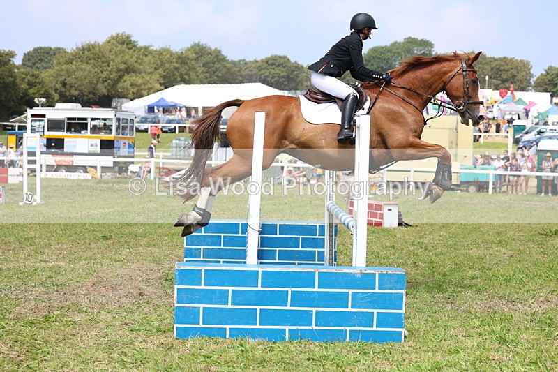 3E7A3013 - Class 7: Senior British Novice/90cm open