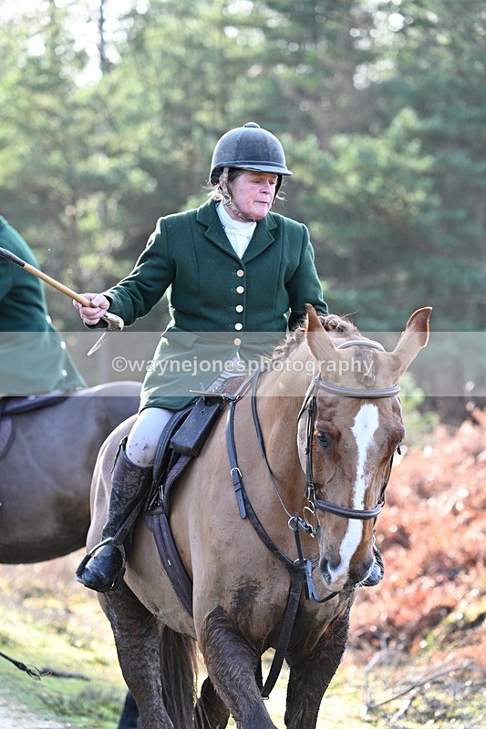 WJ7_7609 - Line 3 (no line 4 or 5)