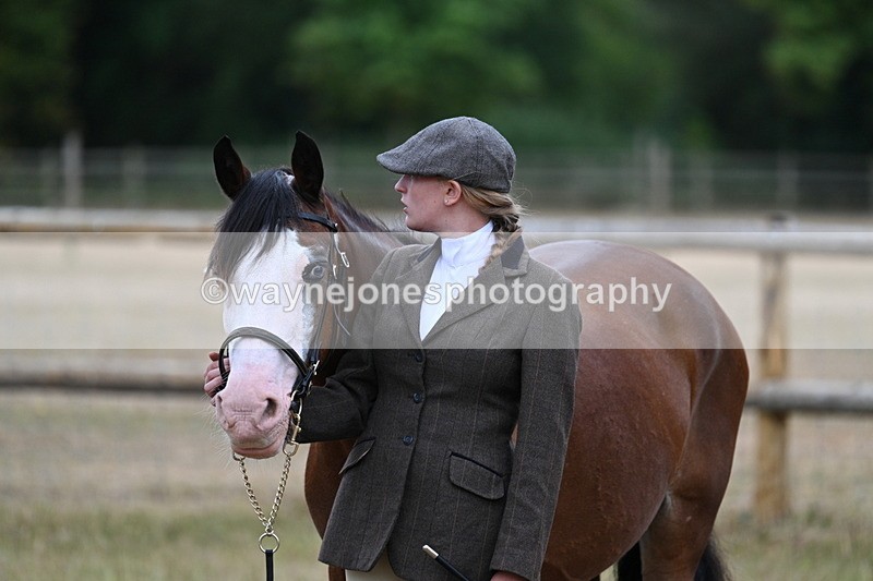 WJ7_8547 - Class 4 Prettiest Mare up to 14.2hh
