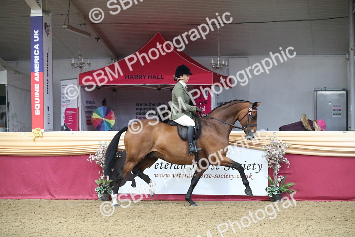 SBM_10480 - Class 102 Equitation (best rider) Adult