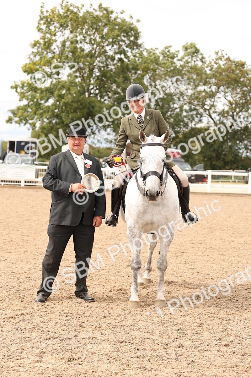 SBM_16524 - Class 212 - Ridden Hunter - Small