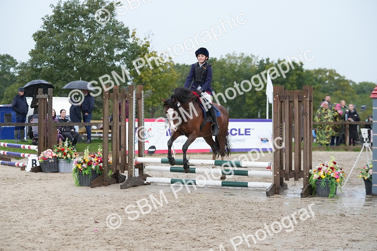 SBM_34036 - J5 - Junior Pony 50cm Championship