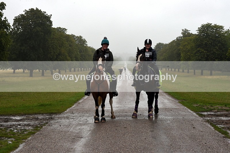 TT3_8542 - Time at Crossing 11:44 to 12:54