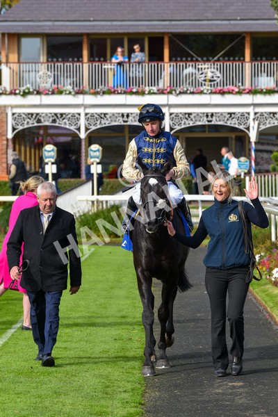 141023-Race 1-Purosangue-0575 - Race 1 1.15pm Coral Rockingham Stakes