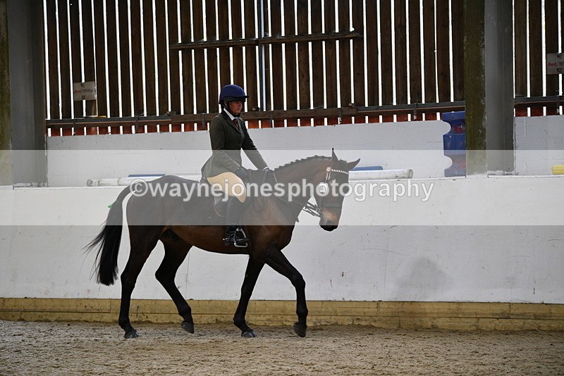 WJ5_7992 - Class 13 Ridden Part Breed
