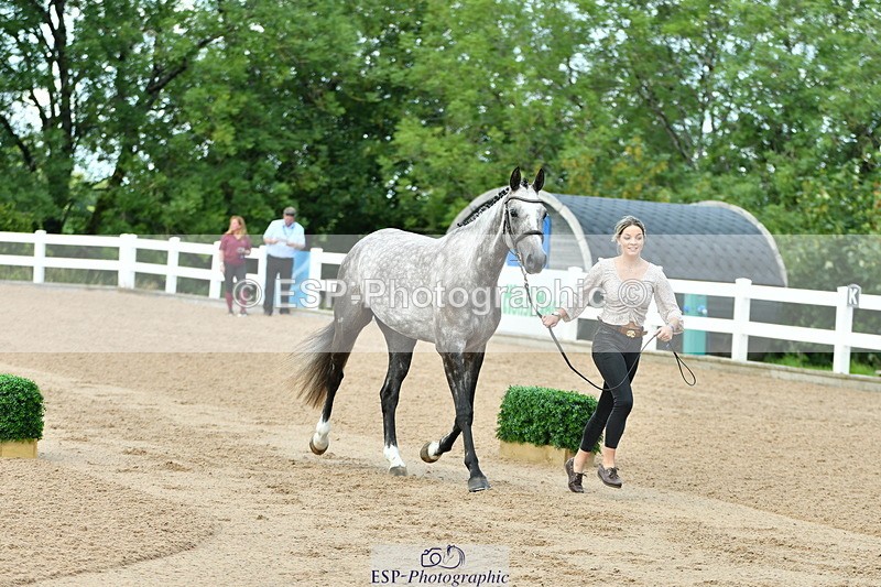 230719A-125725-00249_Trot Up 12pm to 1pm - 079-756-5000