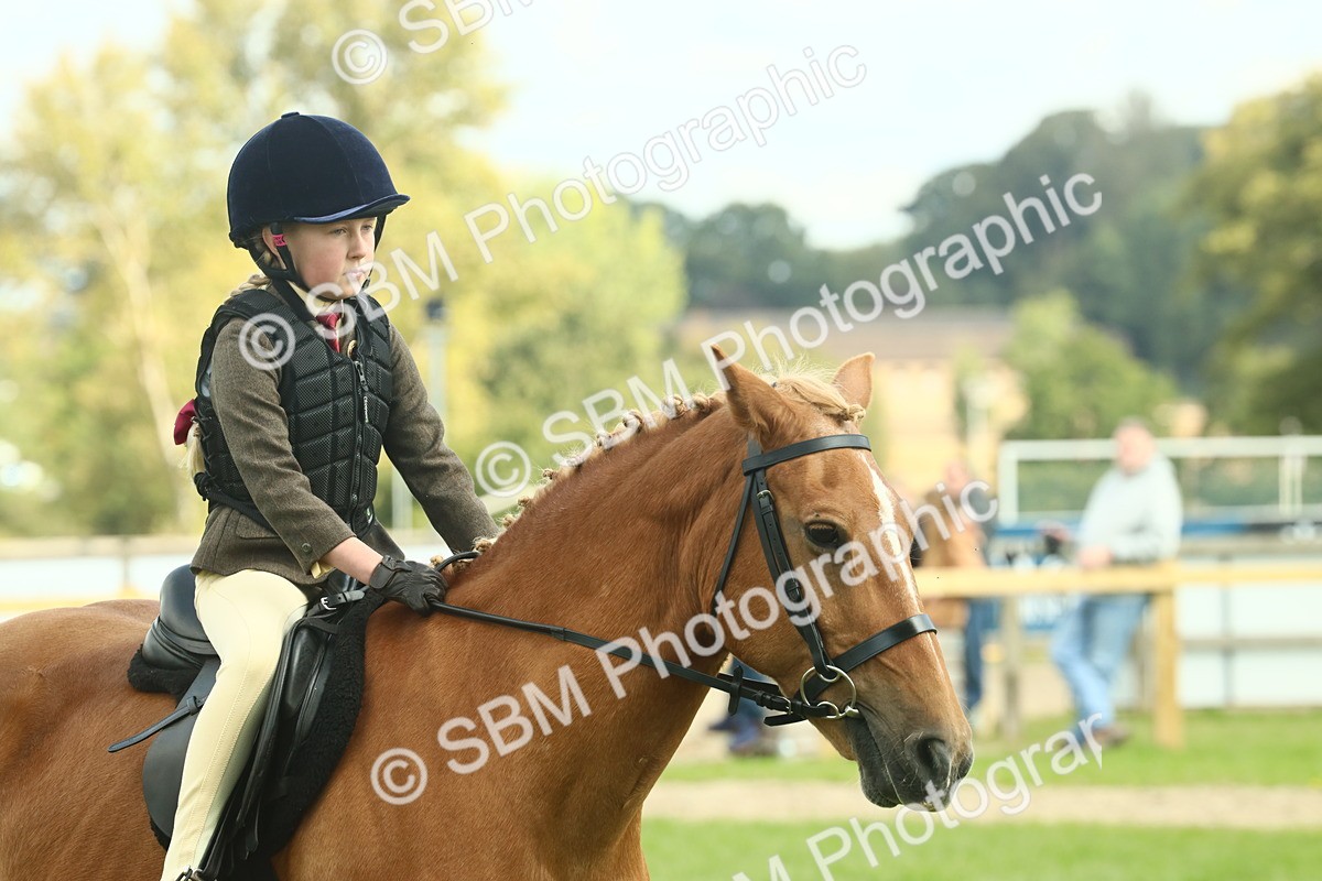 SBM_62493 - S62 - Foreign Breeds Ridden