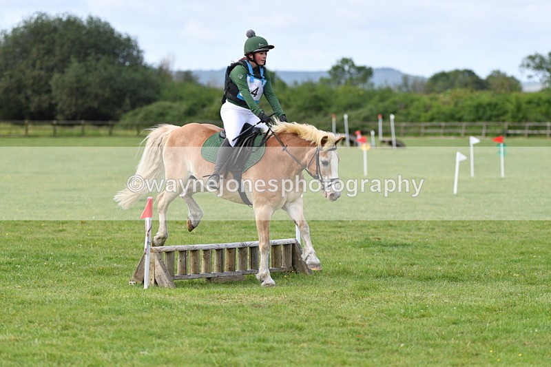 WJ5_2342 - Class 2 40cm